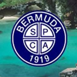 BermudaSPCA's profile picture. We speak for those who cannot speak for themselves