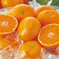 Campanella138's profile picture. 