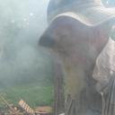 hal scott wiley - @halscottwiley - Twitter