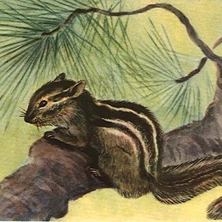 estrella_196's profile picture. 