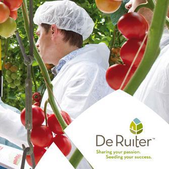 De Ruiter Seeds