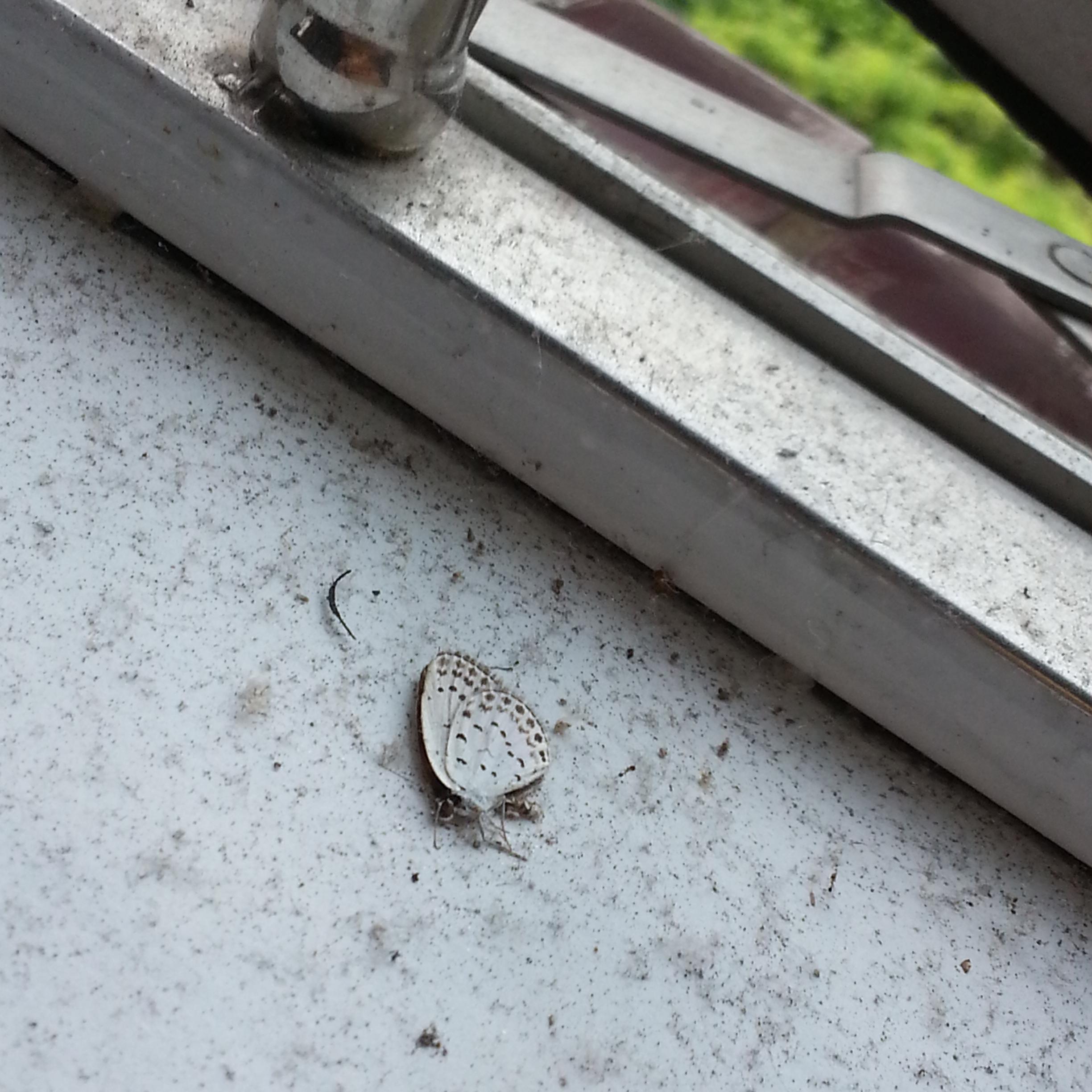 AR____Mo's profile picture. 