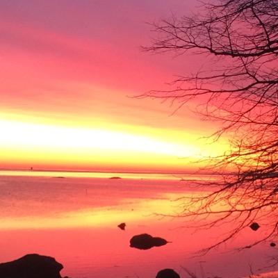 rokky1234's profile picture. Loves My family, sushi, snowboarding, the ocean and the mts., cooking and traveling