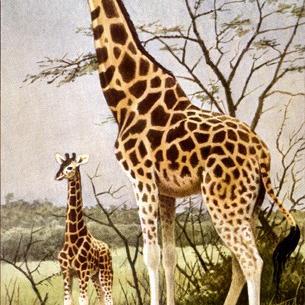 201Thomasdanel's profile picture. 