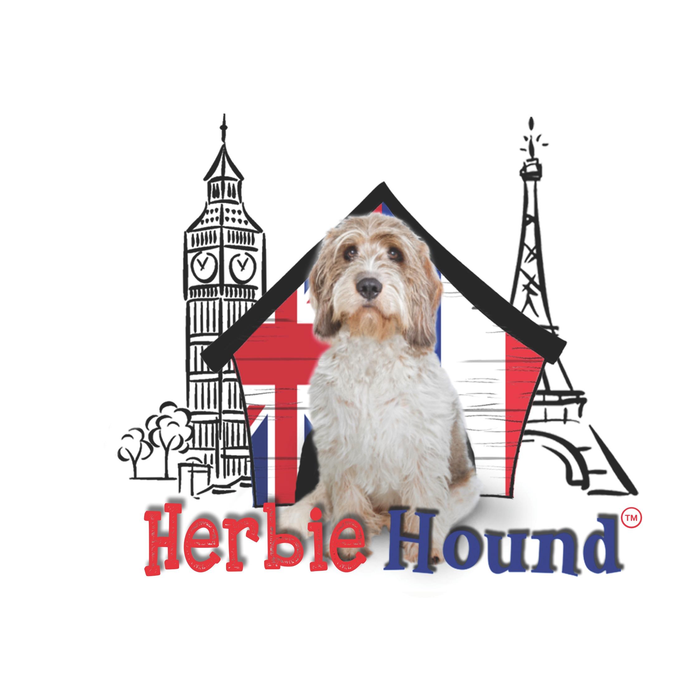 theherbiehound's profile picture. I am Herbie Hound . I am your new and very special friend and I have many adventures to share with you all. Don't you forget me! #specialness