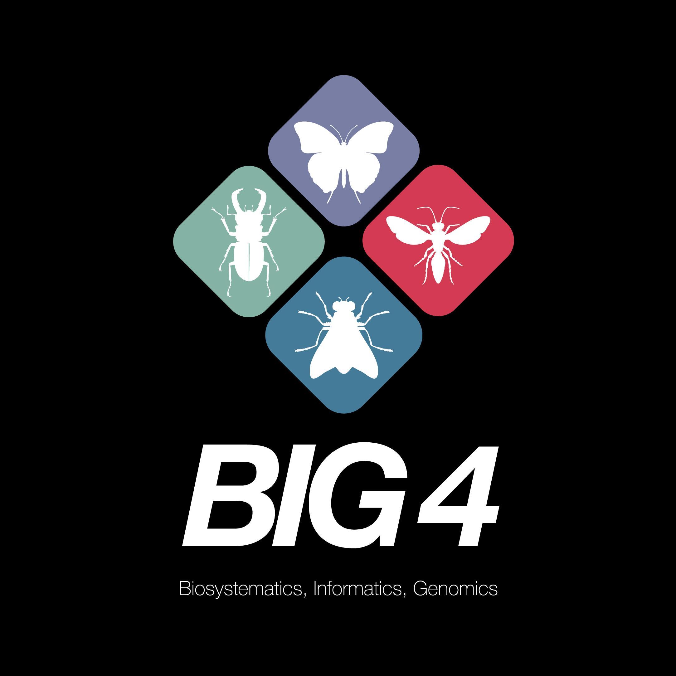 BIG4 is a consortium to train a new generation of systematic entomologists.