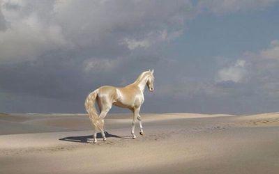 ‏‏‏ضيفني و رتويت من مفضلتي  وانا بعدك نفس العدد الي سويته.. وبشر بسعدك‏‏................  أحب أمي  ورضاها هو طموحي.. الله يرزقني برها فديتها بروحي وعيالي
