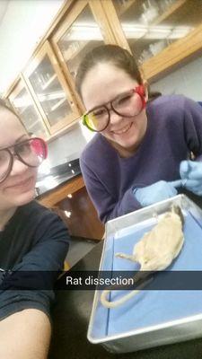 vanessaavard's profile picture. 