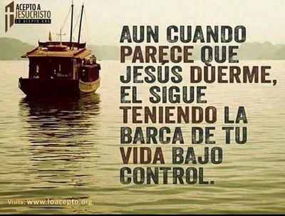 Madre, abuela, hija de Dios, esposa, amiga, felíz!!!