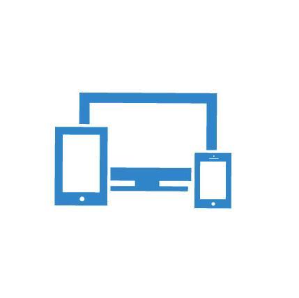 Diseñador y programador web