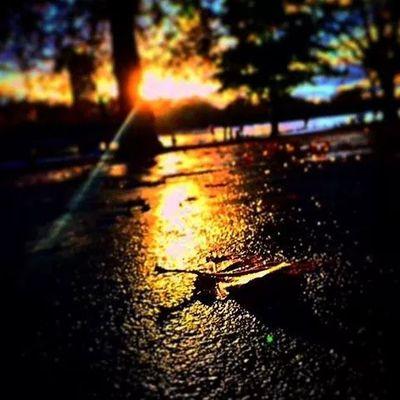 ‏قَررتُ اعيش عند الهنود الحمر 

في كل ليلة 
مشاوي ودق طبول ورقص ومرتاحين  ومالهم دخل ب المشاكل بين الدول وعايشين لحالهم 

وكمان على رأسهم ريشه 😑💔🔪
.
.
هههههه