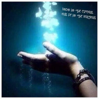 rosimesa1's profile picture. 