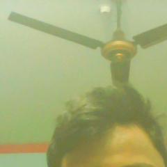 hay world