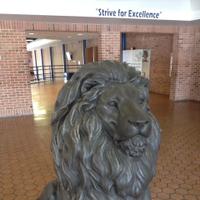 Liberty High School (@ccps_libertyhs) Twitter profile photo