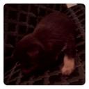 manuela cabrera  - @manu291996 - Twitter