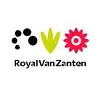 Royal Van Zanten (@rvzcuttings_rh) 's Twitter Profile