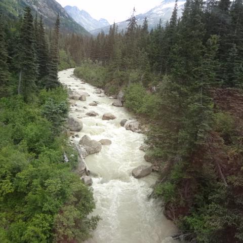 NatalieVanTryp's profile picture. Mother to 3 and therefore all else follows