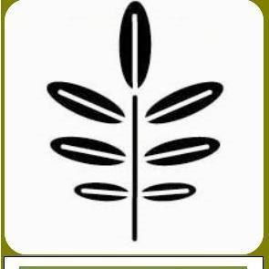 Green Earth Urban Gardens Inc., a 501 (c) 3 non-profit organization