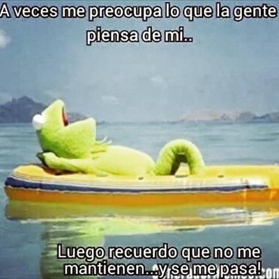 elvisq1's profile picture. 