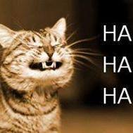 milanokakito's profile picture. 