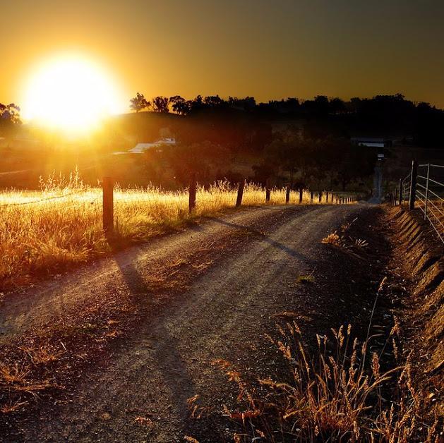 The Adelaide Hills