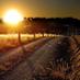 The Adelaide Hills (@adelaidehillssa) Twitter profile photo