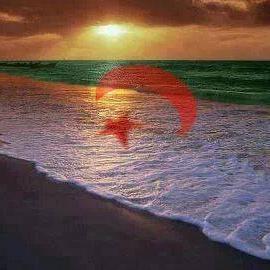 KLitamine's profile picture. Journaliste, éditeur Web