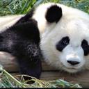 Hayley Weaver - @StampyBossNose - Twitter