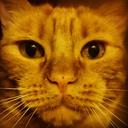 Moisés Sánchez - @moisessanchez3 - Twitter