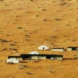‏الشمري