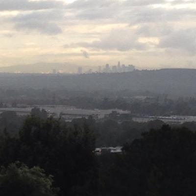 jayr1365's profile picture. 