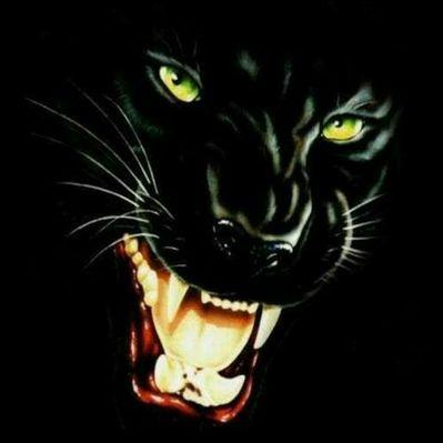 wadalshekh777's profile image