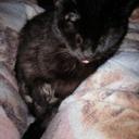 Myra Lowe - @samcrokitteh - Twitter