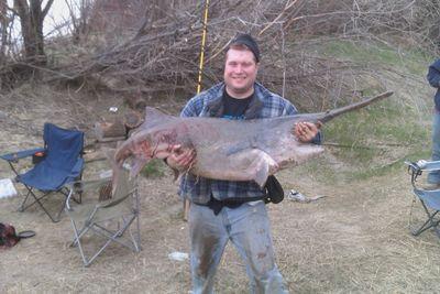 MLeddige's profile picture. 