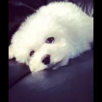 Ella (@ella404jh) 's Twitter Profile