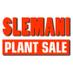 Slemani Plant (@slemaniplant) Twitter profile photo