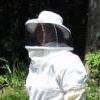 A blog about beekeeping and gardening on a small farm, with some technology and computers tossed in now and then.