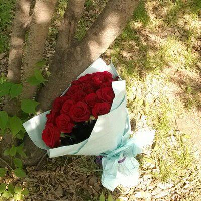 lMBL00cOk49xkHe's profile picture. 