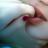 7095e0546512422's profile image