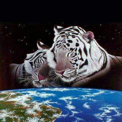 Jcn4bB3MWkvCjsf's profile picture. 