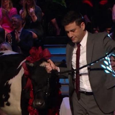 Juan Pablo The Cow Ribeyethecow Twitter