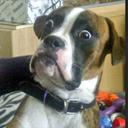 Dave Graham - @DaveLU804 - Twitter