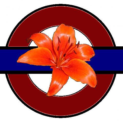 tigerlilylondon's profile picture. Actor, VO+TV-film producer. Twas a good 15 yrs...seeya o'er there, bit different moniker: tigertigerlily . b $ k ¥ . s0cial  ViewsMine*RTs≠ Endorsement