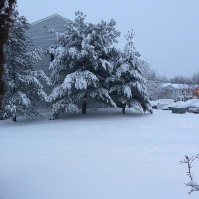 ANAMARIBO3's profile picture. Happy Monday!!!!!  Last Monday of 2013