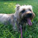 Dave Harding - @Dave41225 - Twitter