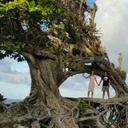 Peyton Black - @PeytonBlack1 - Twitter