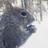BostonThawing's profile image