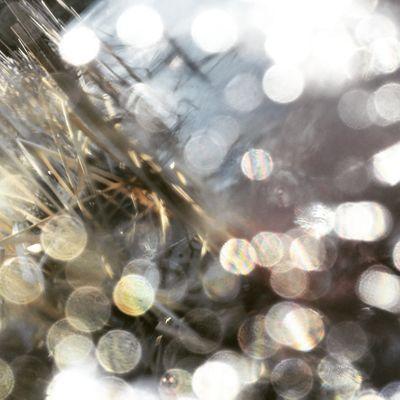 @maxiges my instagram please fallow me.  https://t.co/8GZGBv2TAp