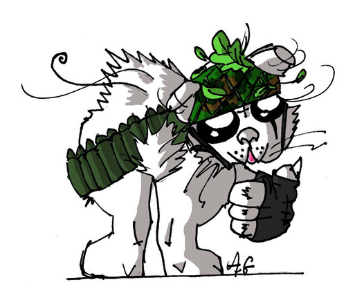 polar_888's profile picture. 