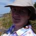 Davina Dwyer (@deedwyer1) Twitter profile photo